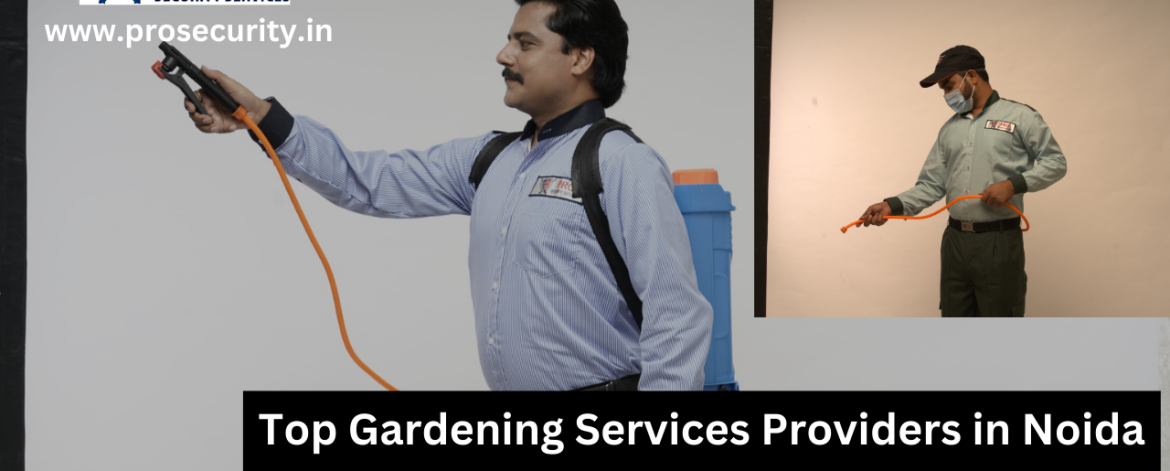 Gardening Services Provider in Noida