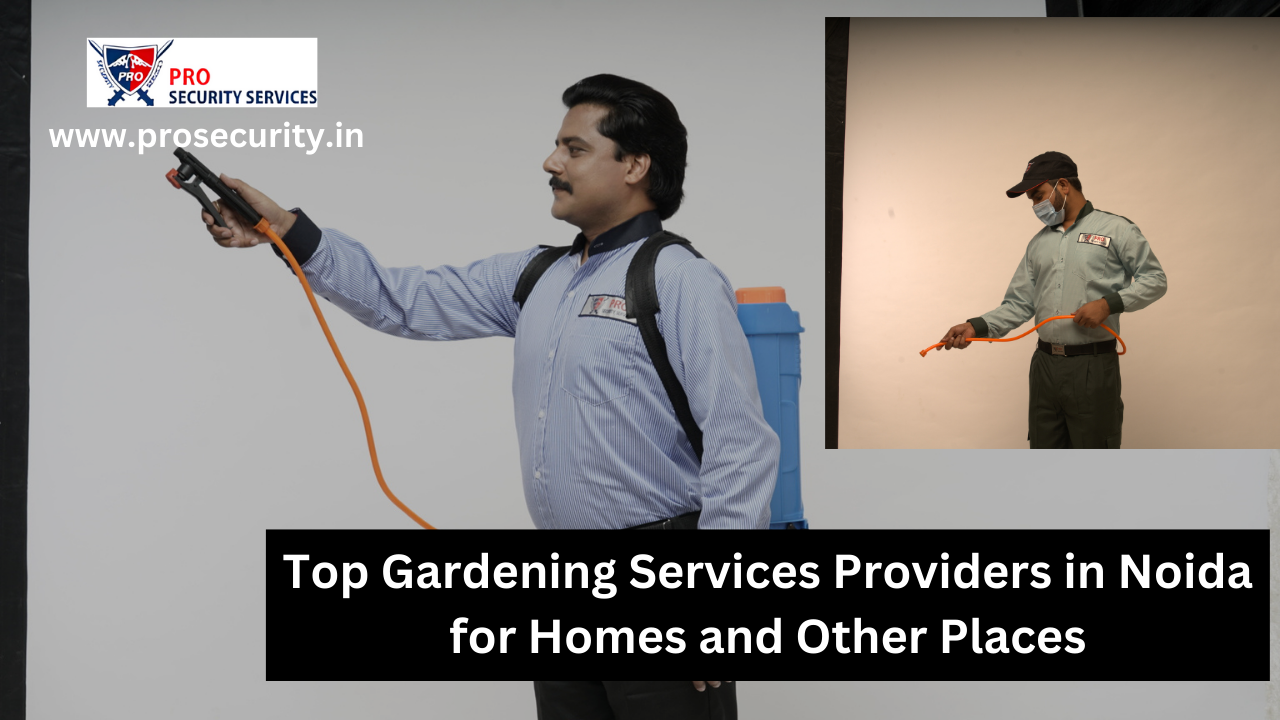 Gardening Services Provider in Noida