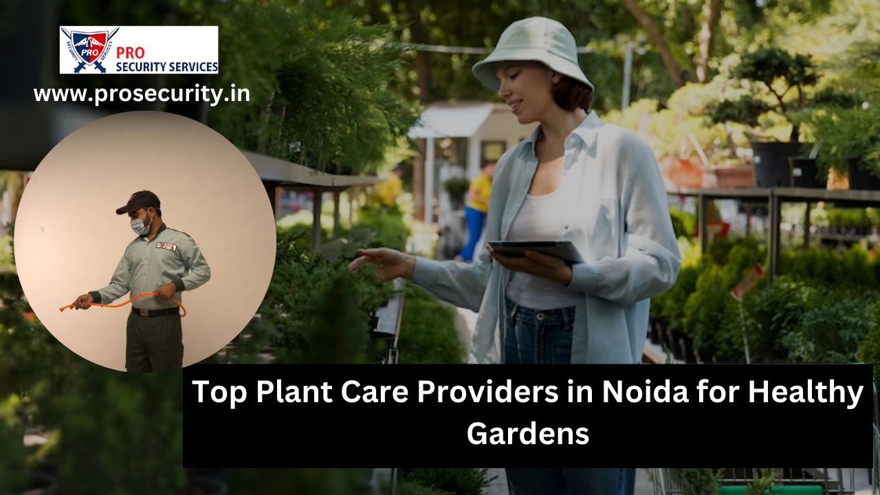 plant care providers in Noida