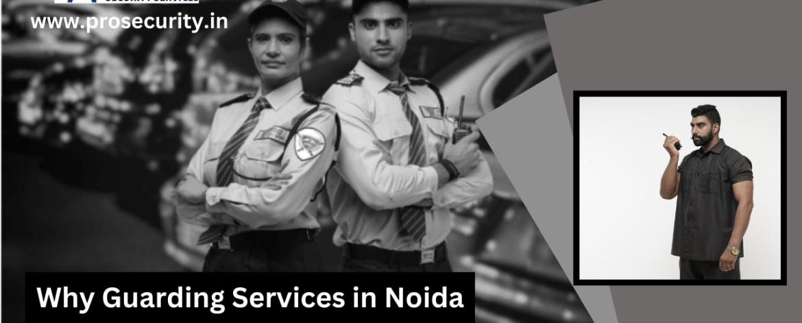 Noida protection services