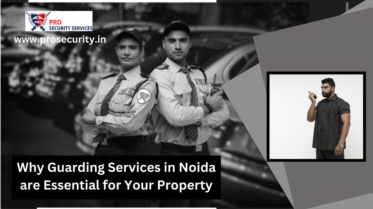 Noida protection services