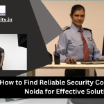 security consultants in Noida